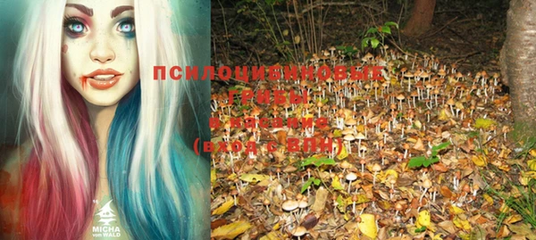 дурь Володарск